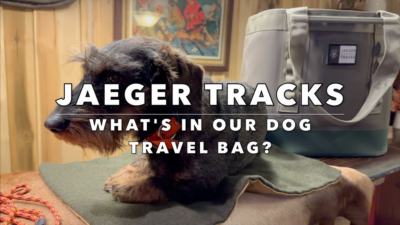 JAEGER TRACKS: What's in Our Dog Travel Bag?