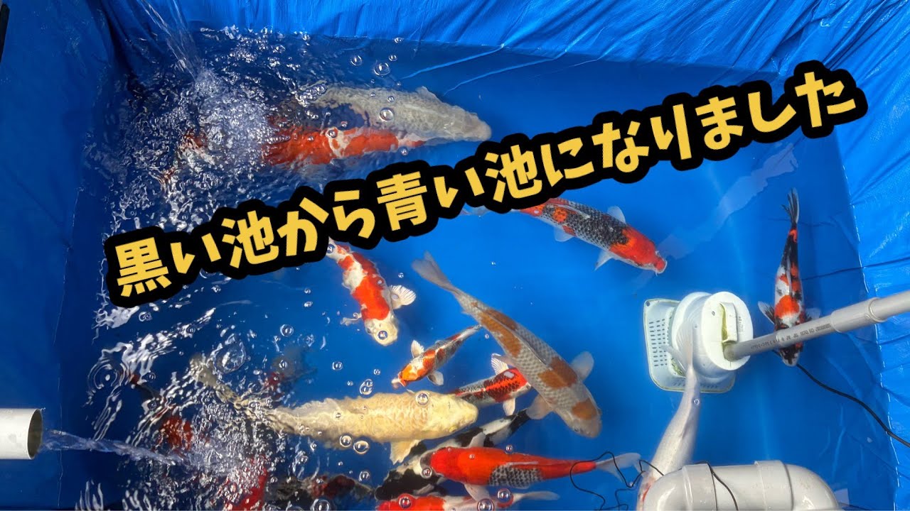 39.池の水漏れ…。