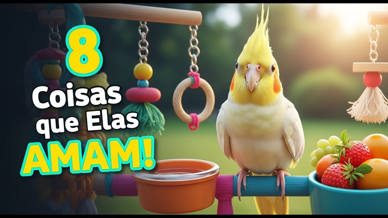 8 Coisas que as Calopsitas Mais Amam Fazer | Comportamento e Cuidados