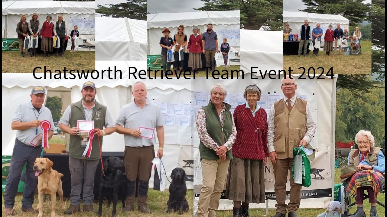 Retriever Team Event at Chatsworth 2024