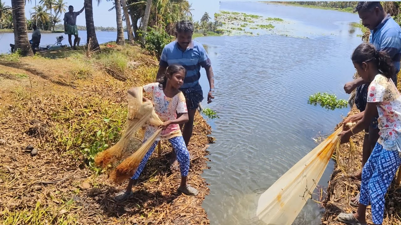 മകൾ ആദ്യമായി വീശിയ വലയിൽ കിട്ടിയ മീനുകളെ കണ്ട് കൂടെ നിന്നവരുടെ കണ്ണ് തള്ളി🐠|villagefishing|nadanfish