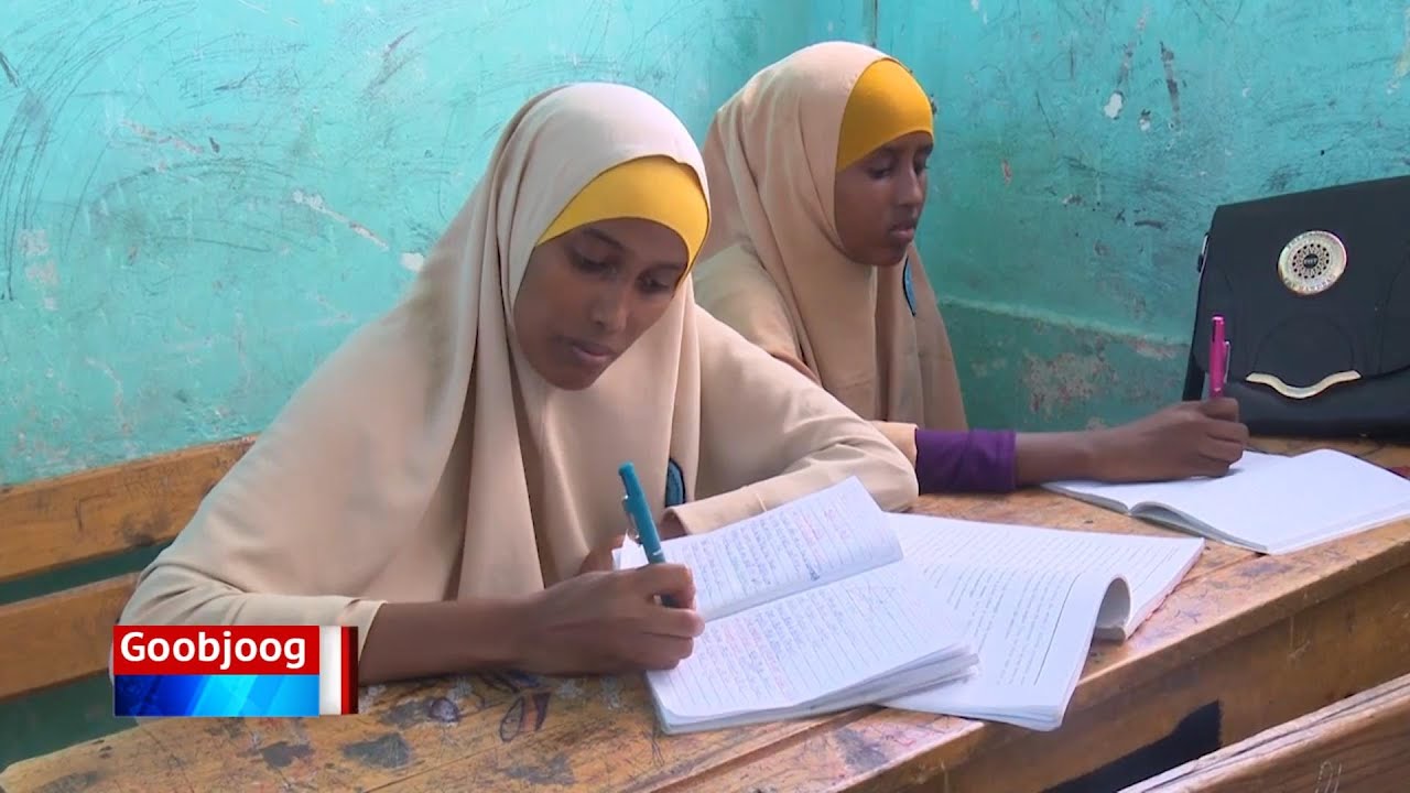 Ardey Dugsi sare ka baxey oo aan aqoon sida loo isctimaalo KUMBUYUUTARKA!
