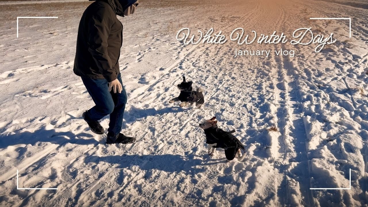 VLOG l white winter days ☃️