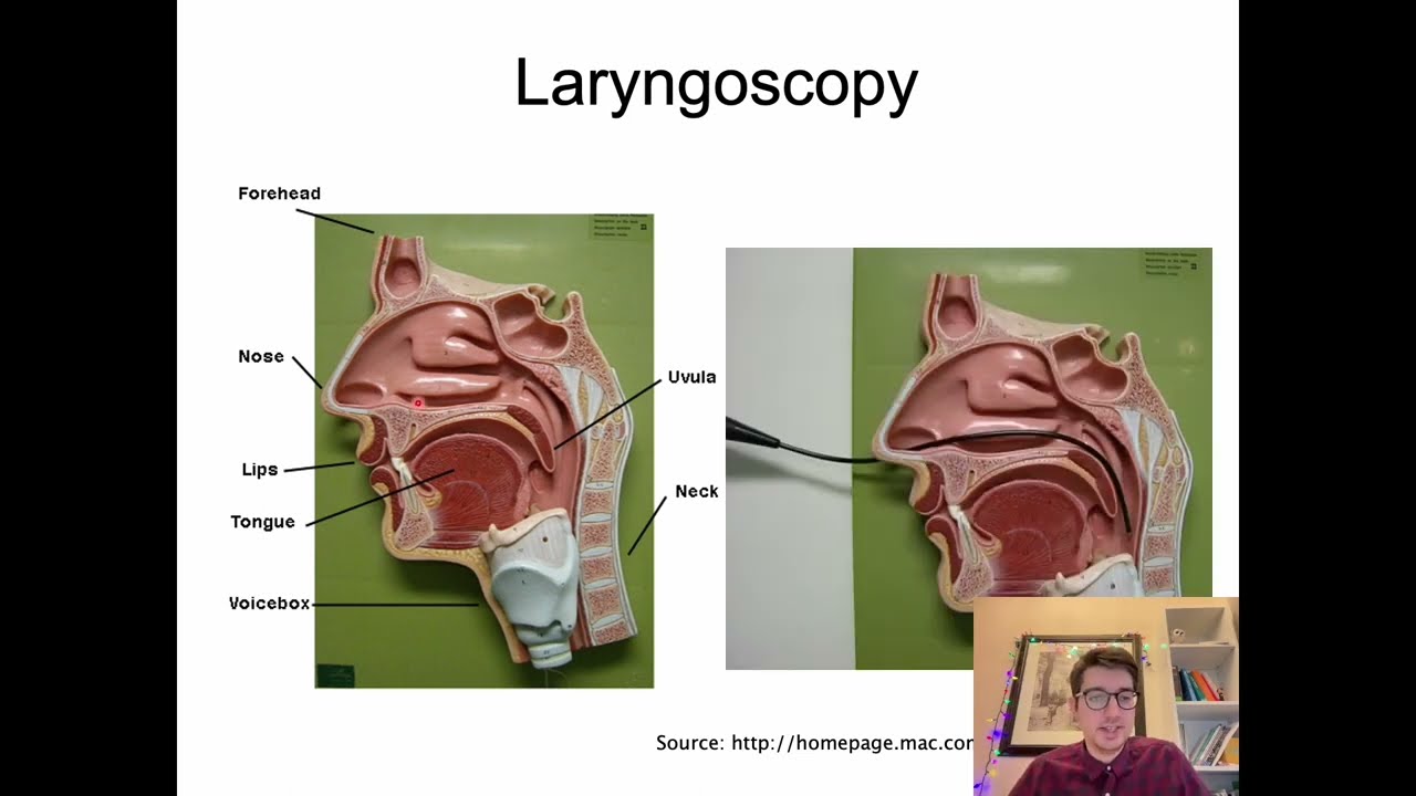 Speech Language Pathology (Dysarthria, Apraxia, Aphasia)