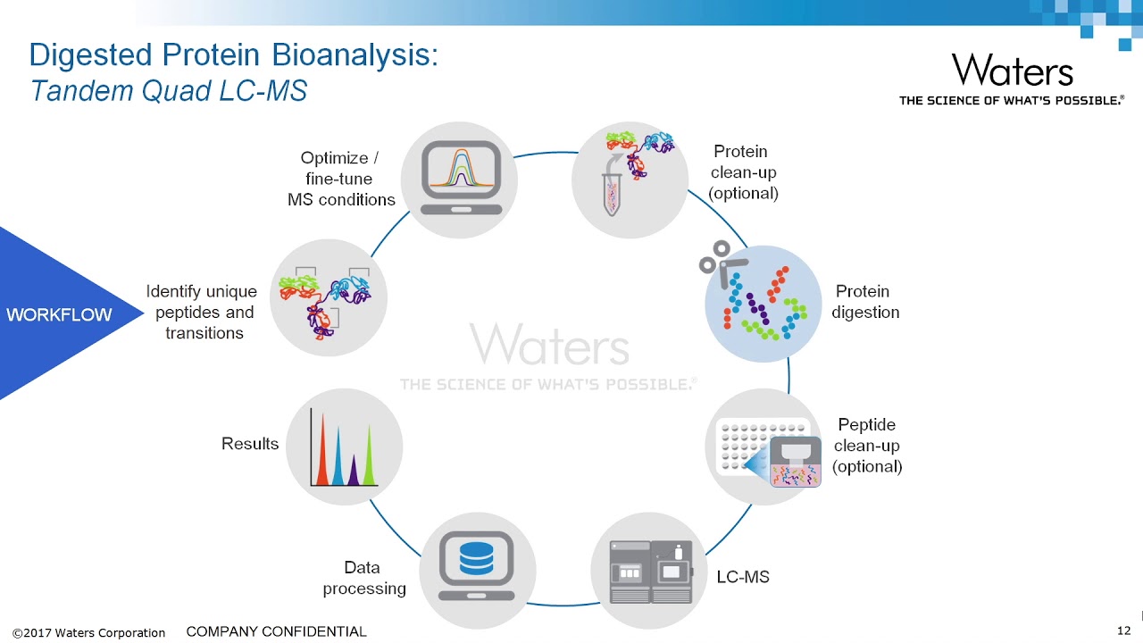 Protein Level Sample Purification and Digestion for LC-MS Quantification