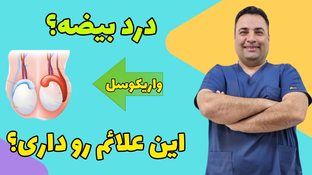 احساس سنگینی یا درد بیضه؟ شاید واریکوسل باشد | راه‌های تشخیص و درمان از زبان پزشک متخصص