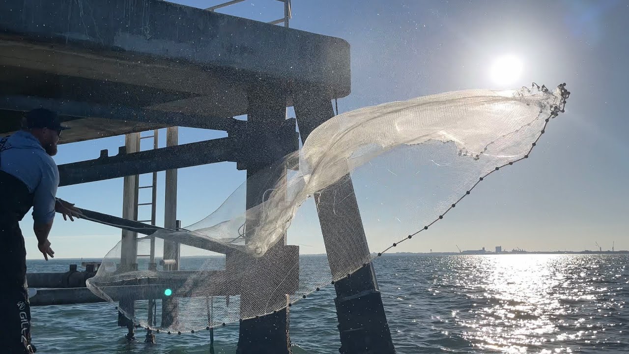 How to catch bait in Tampa Bay!