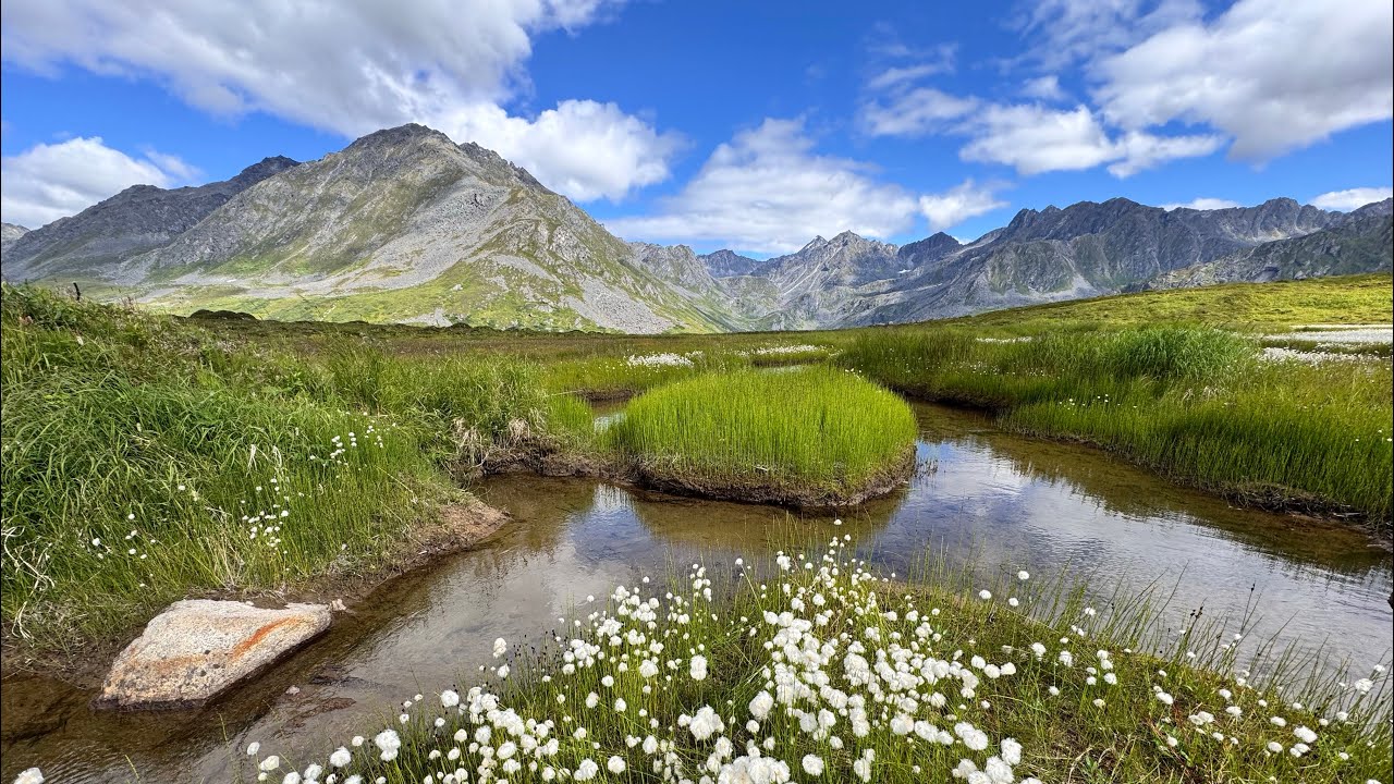 Sydney Creek Basin