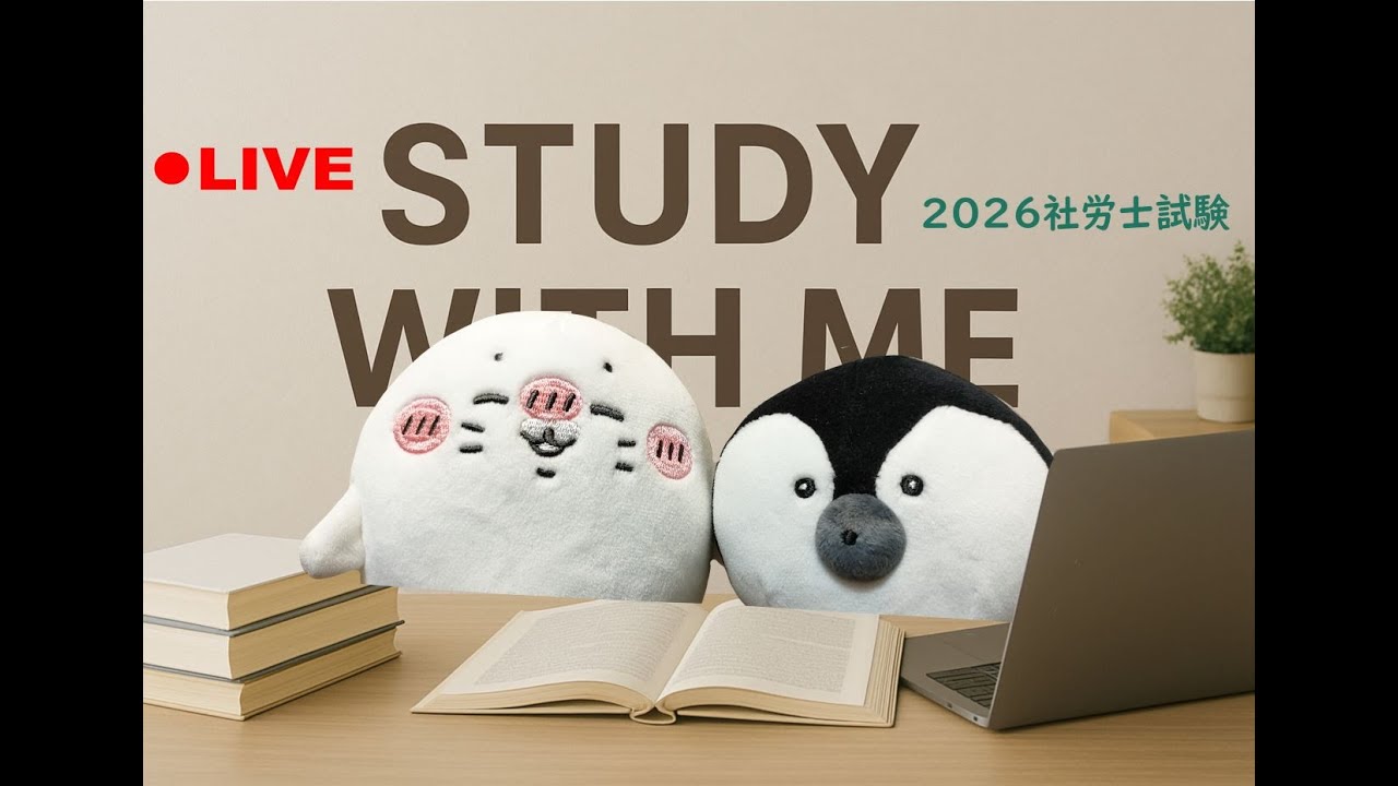 study with me  /  pomodoro25 / crackling fire sounds (no music) /  2026年社労士受験
