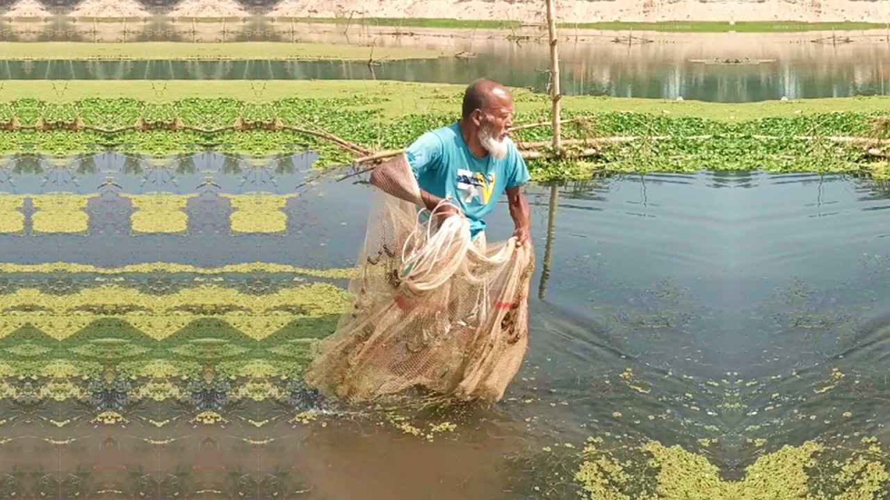 Amazing Fish Hunting by Poor Fisherman - Best Cast Net Fishing - Traditional Village Fishing