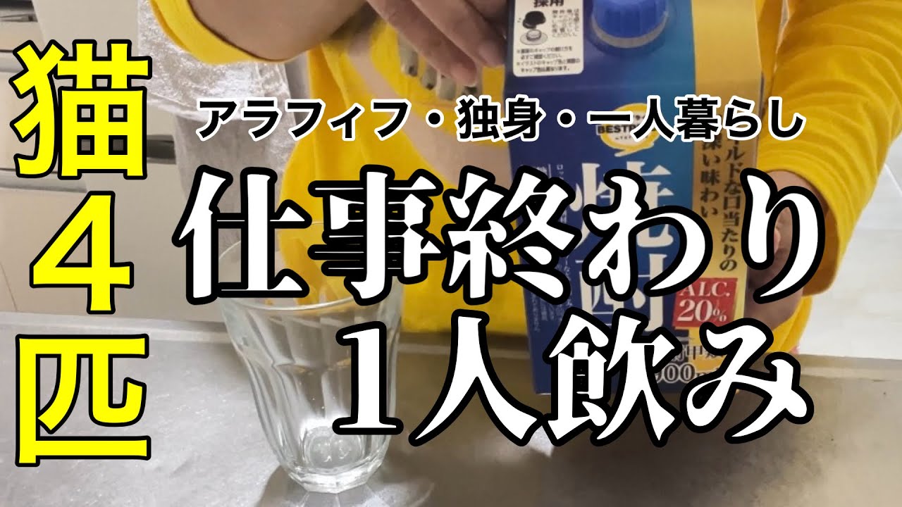 【50代一人暮らし女性】仕事終わりひとり晩酌｜猫と楽しむ夜