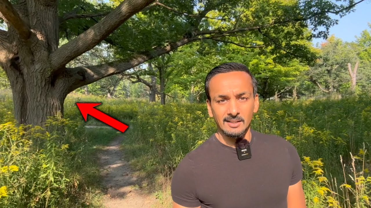 This video finds you as proof of everything being in your favor