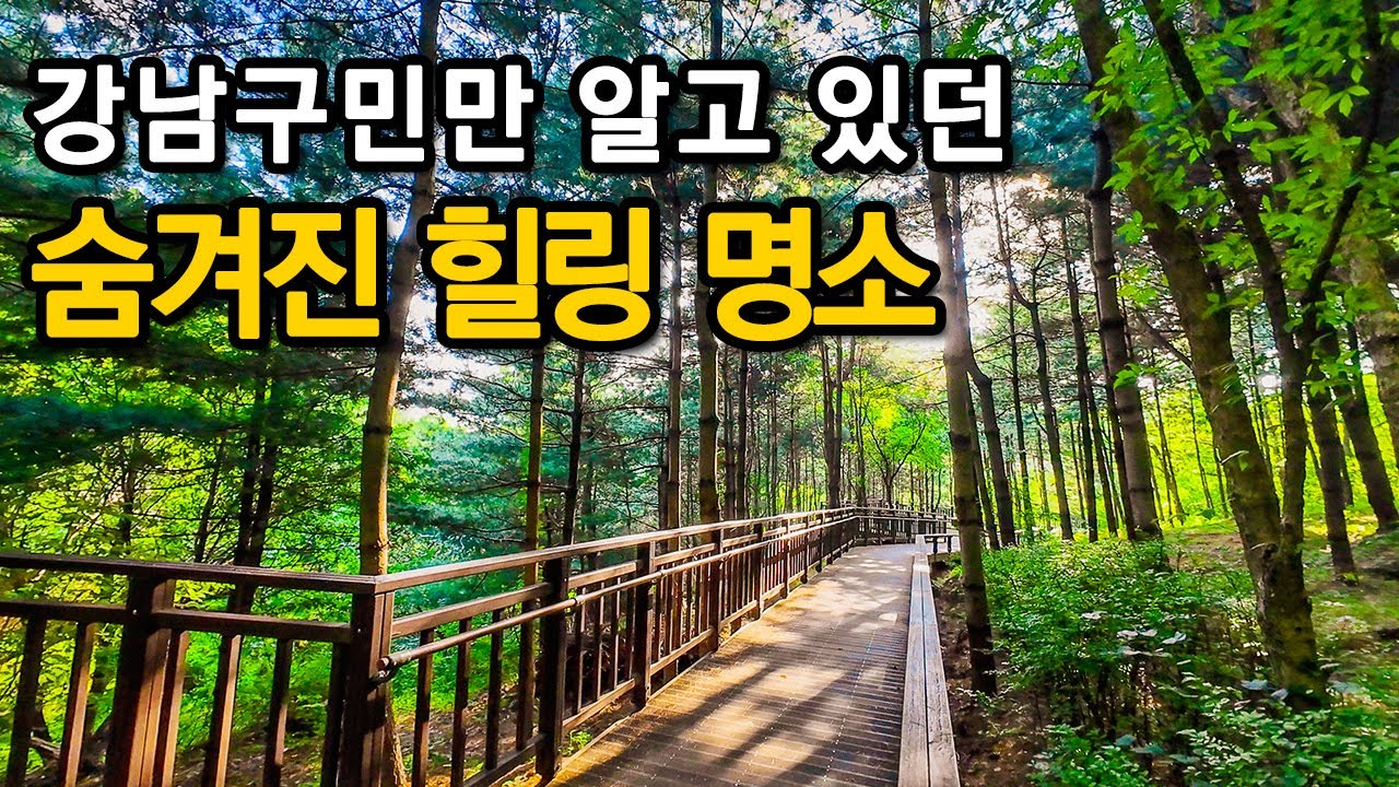 서울 강남구에 이런 곳이?! 선선해지는 가을 날씨에 서울에서 절대 놓치면 안되는 힐링 숲 ㅣ대중교통 당일치기 여행ㅣ지하철 여행ㅣ트레킹 코스ㅣ서울산책