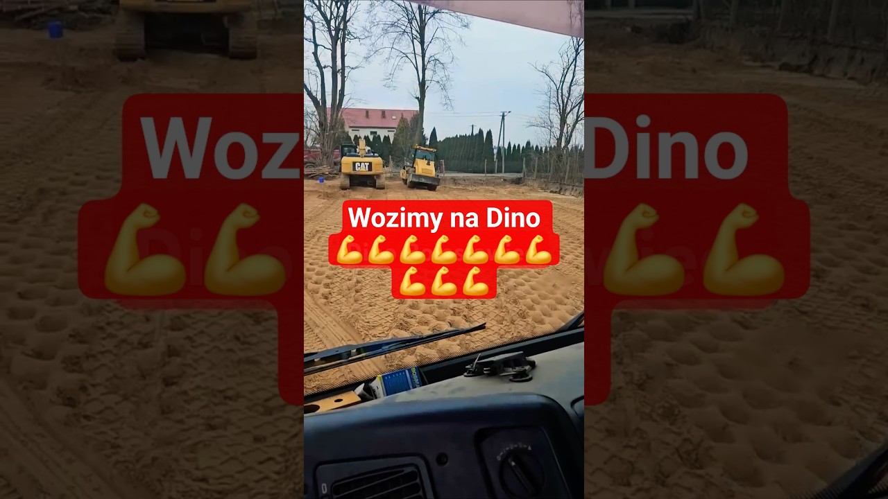 Dino wozimy piasek #shortvideo #shortsvideo #shots #shorts #short #dino