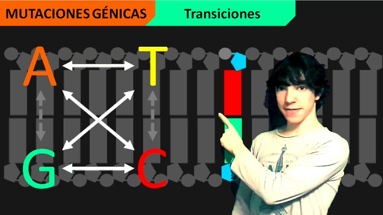 Mutaciones G&eacute;nicas o Puntuales