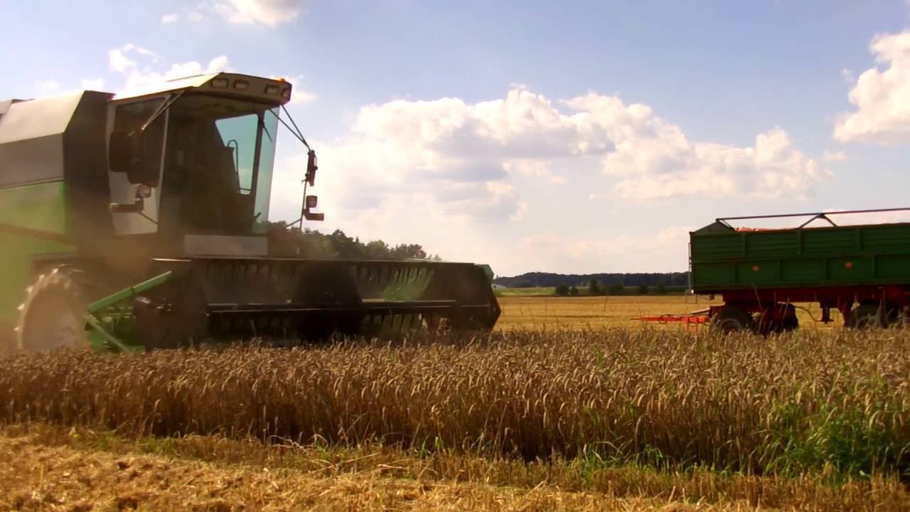 Żniwa 2016 Deutz Fahr 5465 H