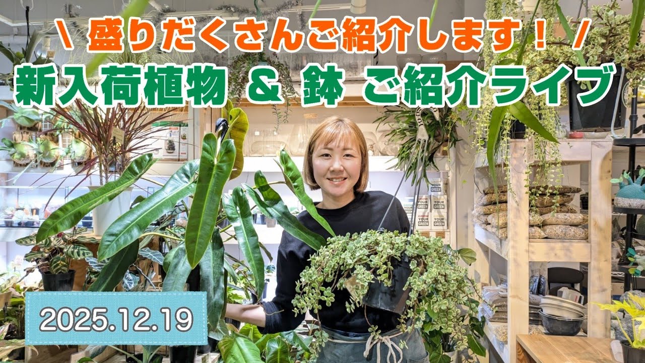 【新入荷＆鉢ご紹介ライブ】2025.12.19