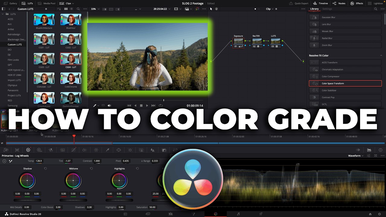 SONY A7III CINEMATIC VIDEO? S-Log2 COLOR GRADING Breakdown