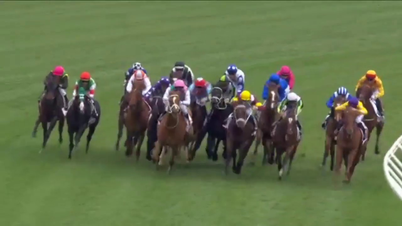 2019 MRC  Caulfield Cup