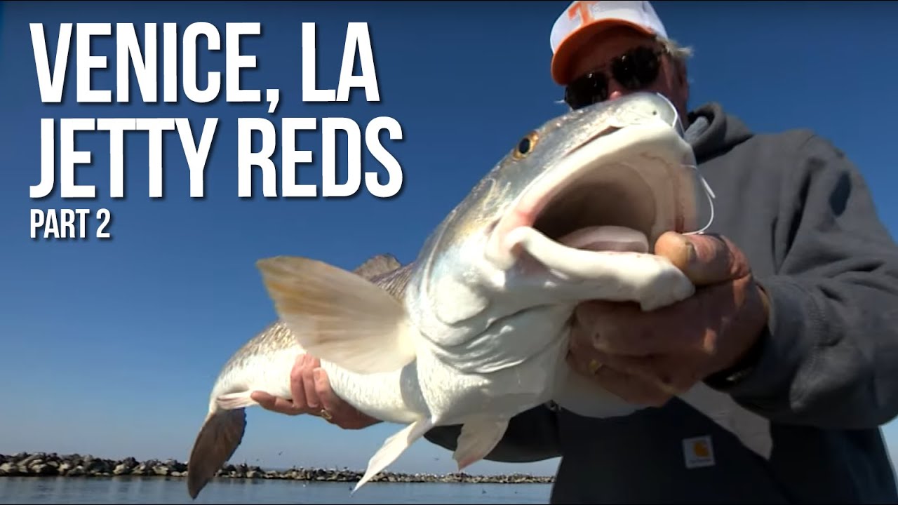 Venice, LA Jetty Reds Part 2