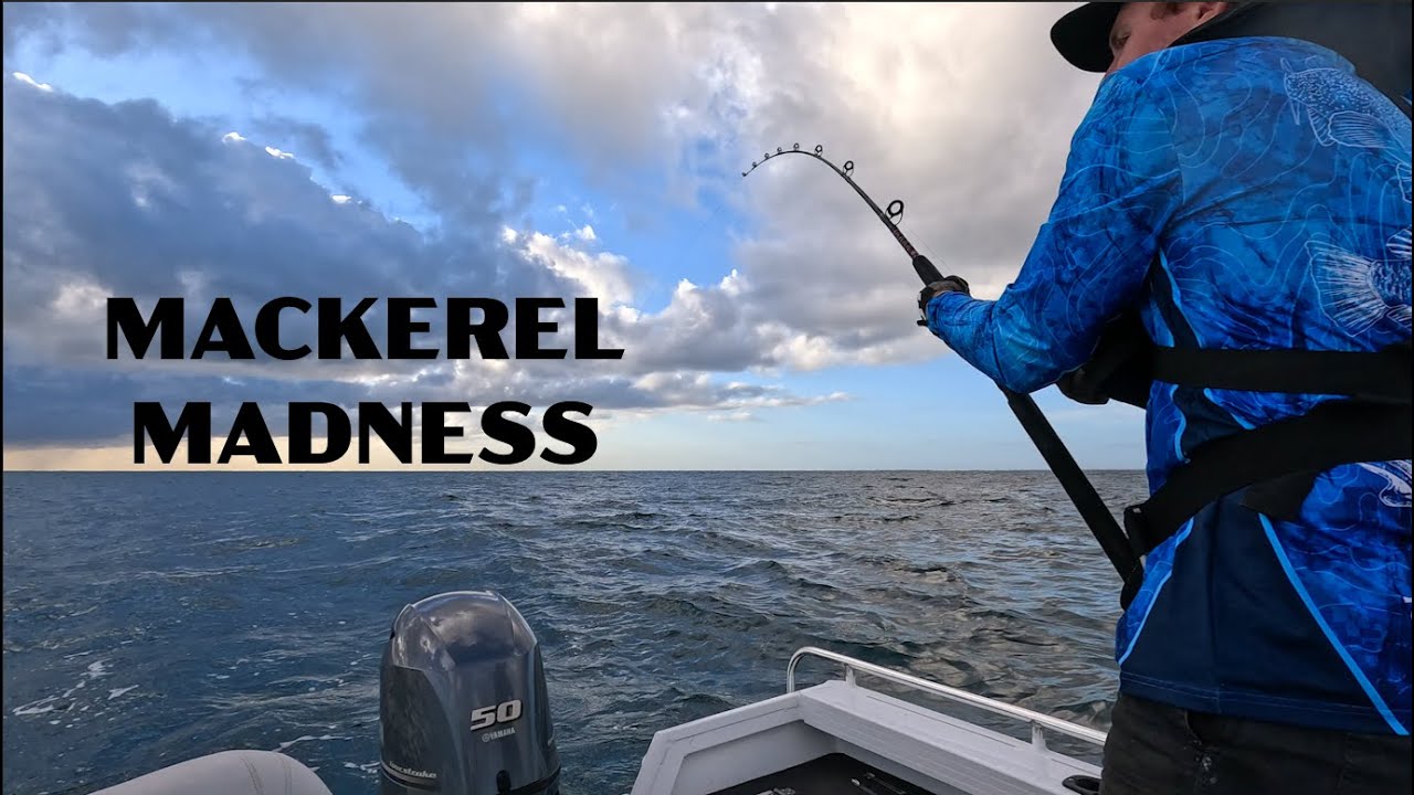 MACKEREL MADNESS