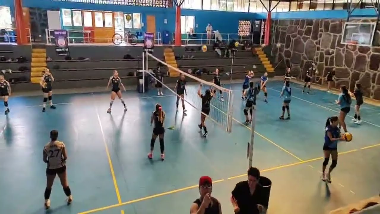 voleibol kimi te re está en vivo