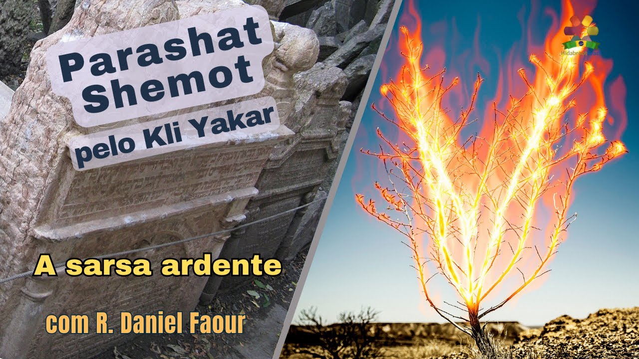Parashat Shemot - Kli Yakar: A sarsa ardente / Rabino Daniel Faour| Hidabroot Brasil (2023)