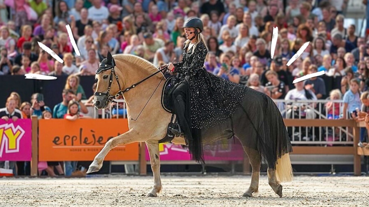 Dingen die je als Horse Event bezoeker NIET ziet! 👀