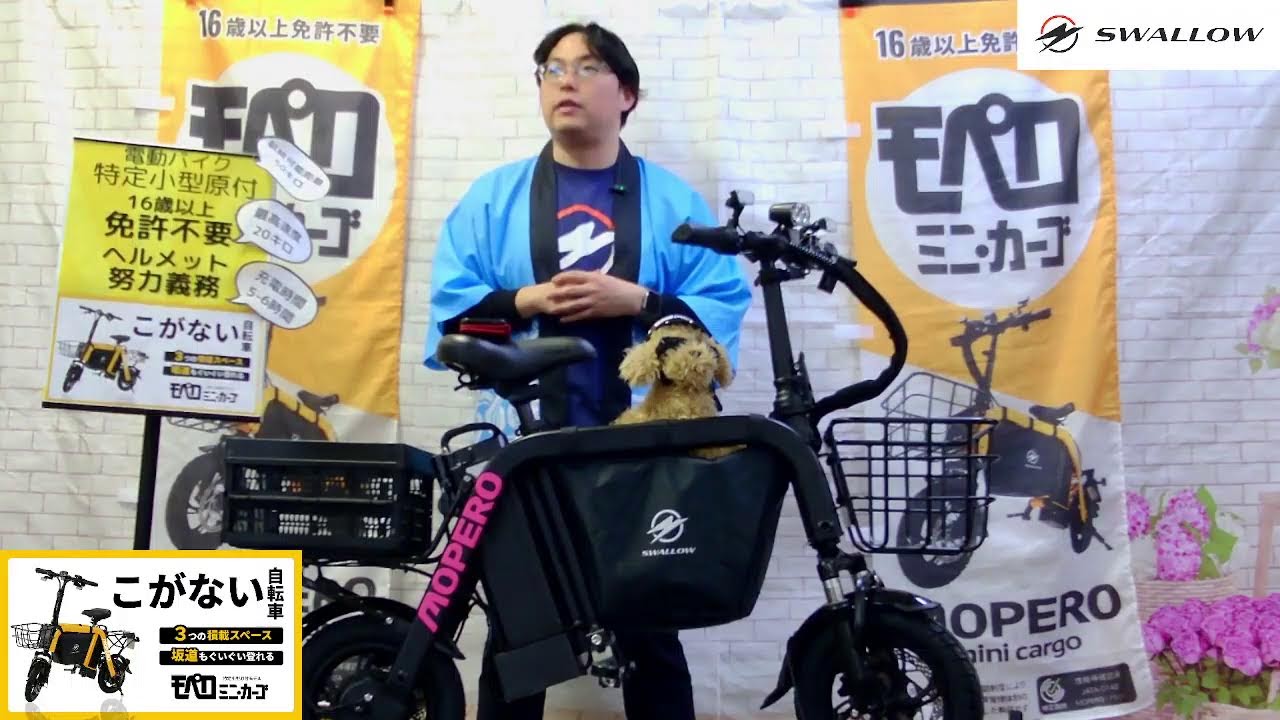 MOPERO mini cargo 最新情報LIVE！ 20260116