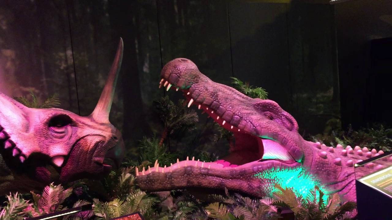 Enormous Crocadile Looking Dinosaur at Queensland Museum