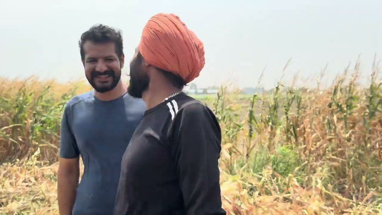 ਮੱਕੀ ਦਾ ਕੰਮ ਪੂਰੇ ਜ਼ੋਰਾਂ ਸ਼ੋਰਾਂ ਨਾਲ ਚੱਲ ਰਿਹਾ// ਕਰਤਾਰ ਕੰਪਨੀ ਦੀ ਟੀਮ ਬਿੱਨਾ ਸੱਦੇ ਪਹੁੰਚੀ ਕੰਬਾਈਨ ਕੋਲ