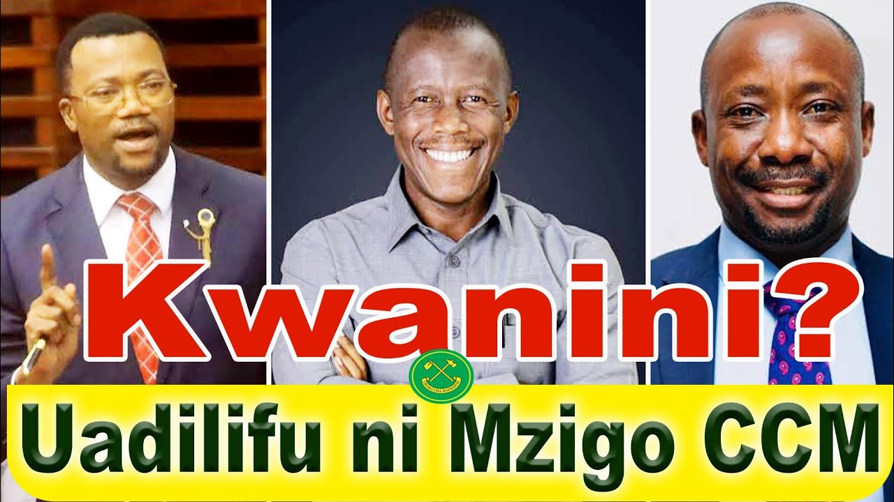 Ukosoaji wenye kuwajenga unapogeuka Mzigo ndani ya Chama cha Mapinduzi 🇹🇿