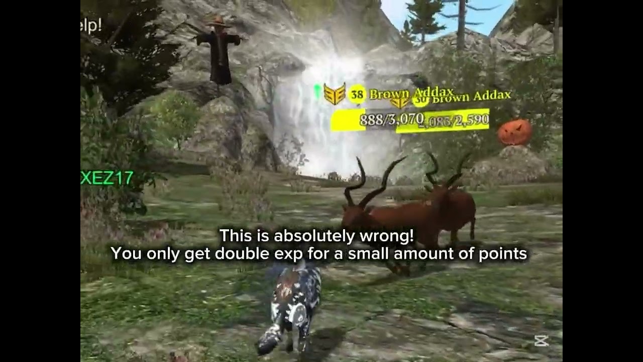 The Wolf: Tips for winning every competition!