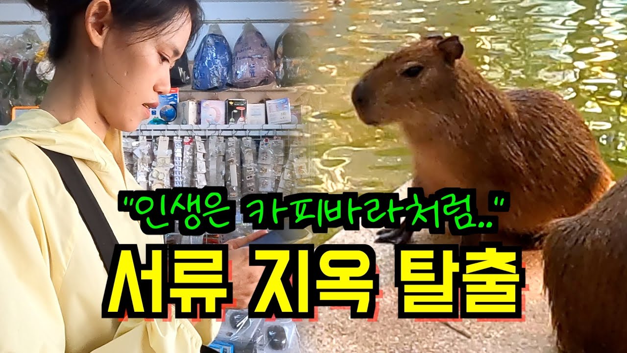 캄보디아 아내의 한국 대학원 도전기🇰🇷 (서류 공증비용, 정부초청장학생, 카피바라 카페)