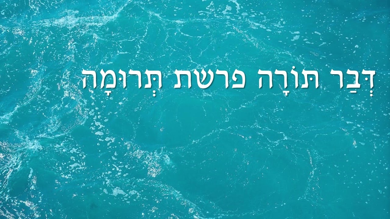 דבר תורה פרשת תרומה