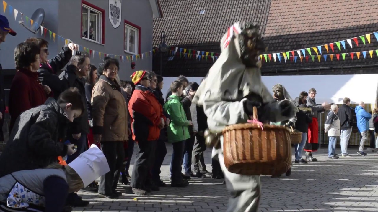Umzug Narrenzunft Fischingen - 25. Jubiläum