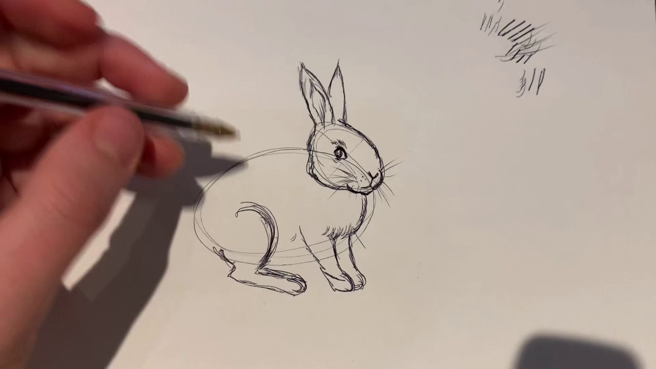Comment dessiner des lapins!