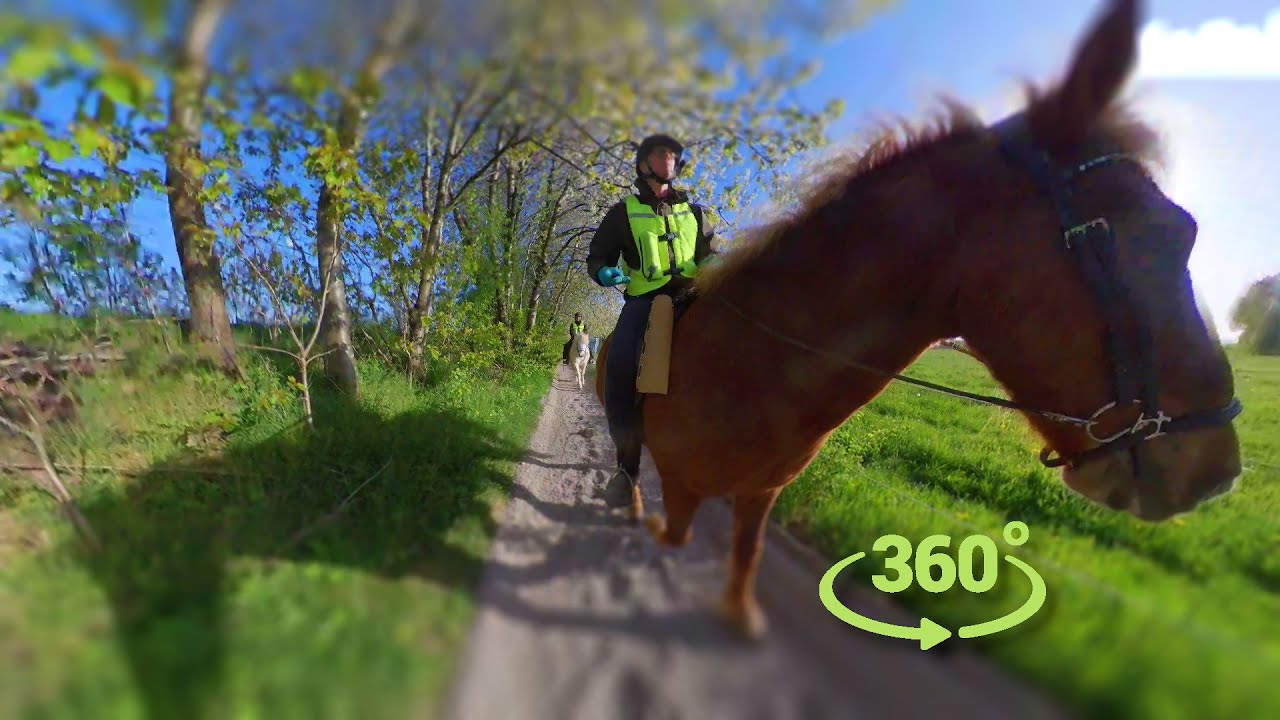 Aron & Sigauni - 360 VR Video (In My Bones)