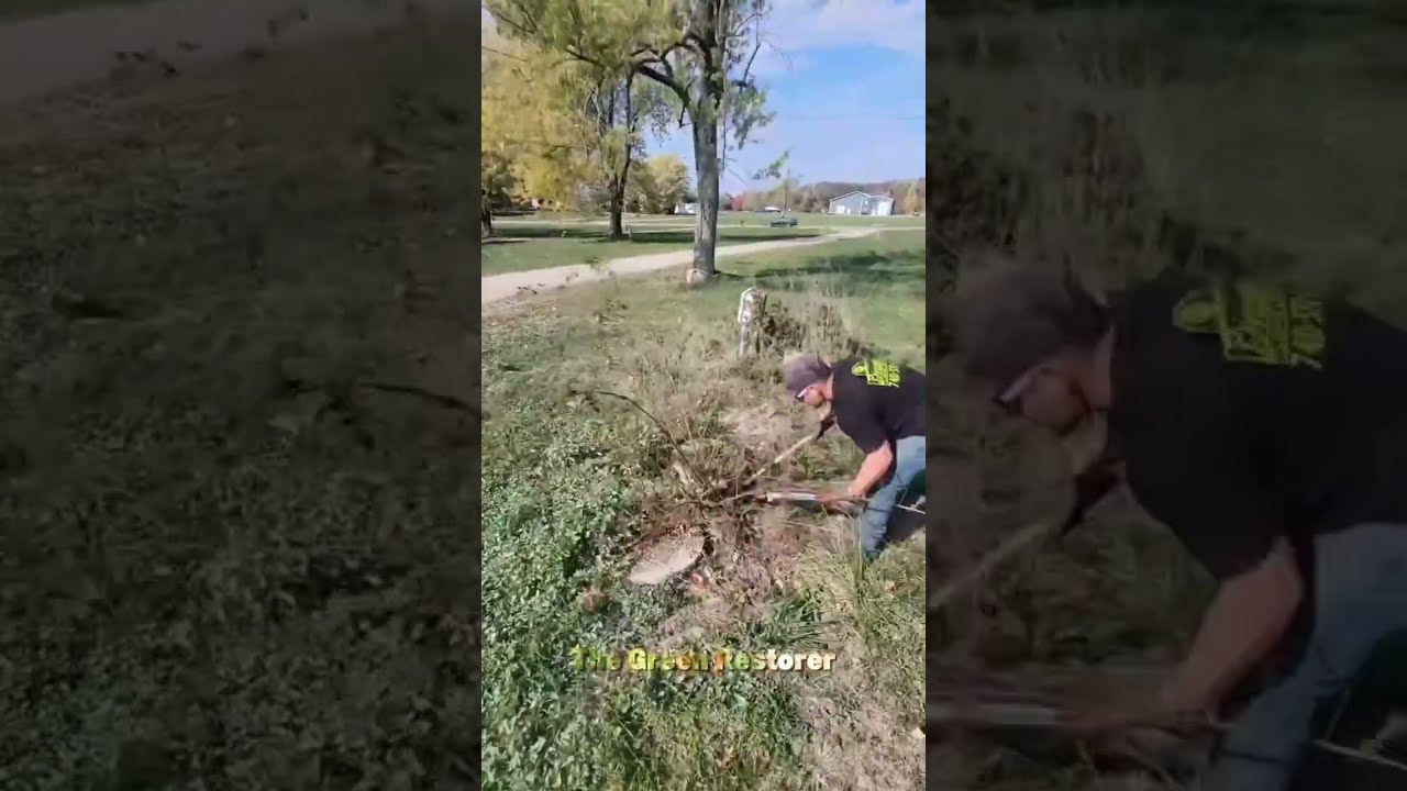 Cleaning Floor | Grass Cutting | Lawn Mowing 