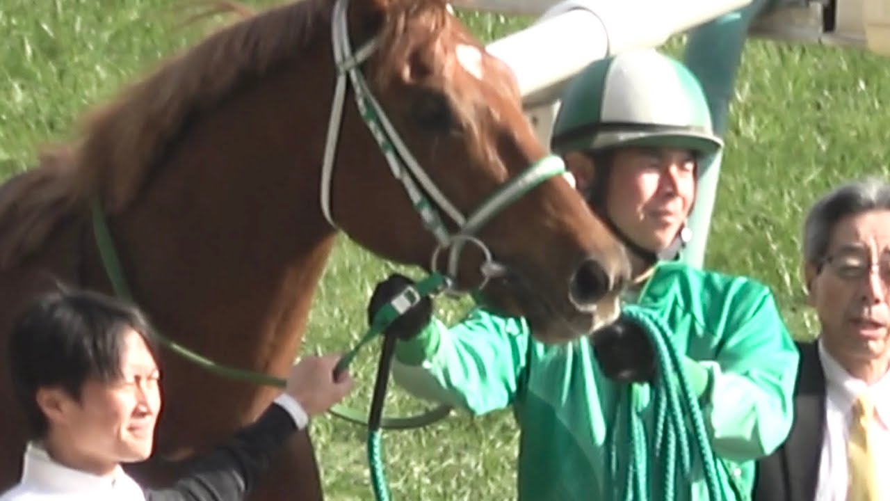 【現地】2026 セントポーリア賞 ラストスマイル 杉原 誠人【東京競馬場 3歳1勝クラス 去年は菊花賞馬エネルジコが勝利】