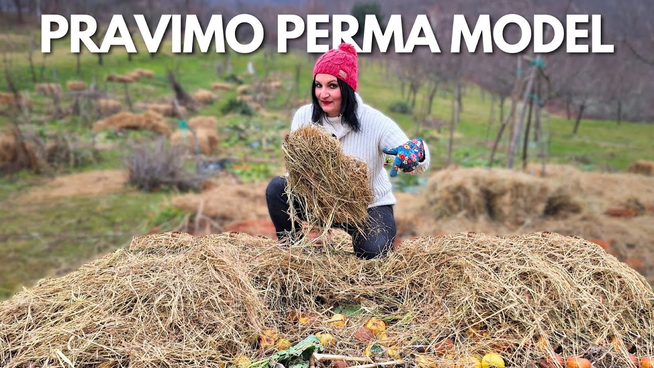 Как Создать PERMA Модель?