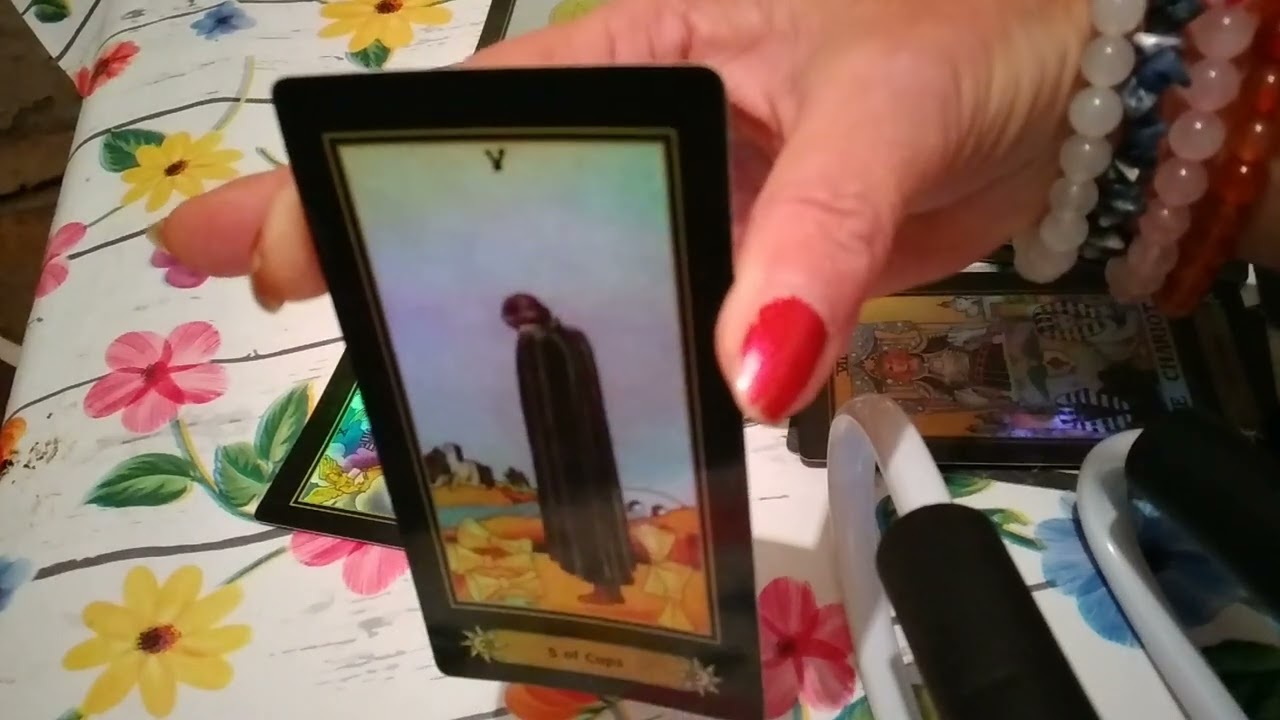 😈 Pokajnici na koljenima , dolaze sa svojim pokajanjem 🤔 Produženi video / 33 : 46 minuta 🐦