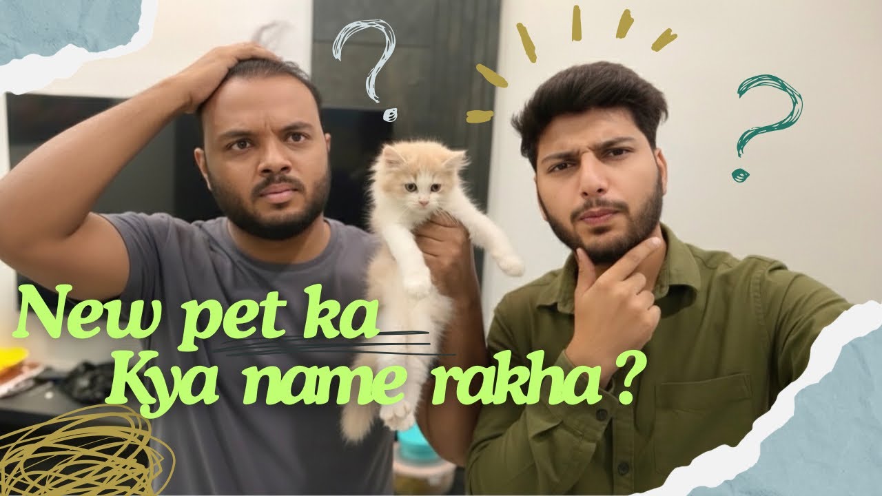 New Pet ka kya name rakha ? 🤔