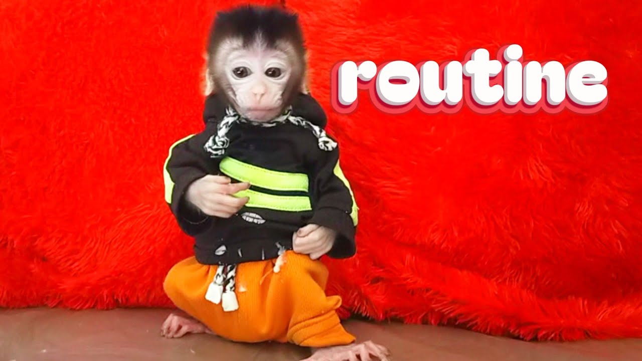 Routine