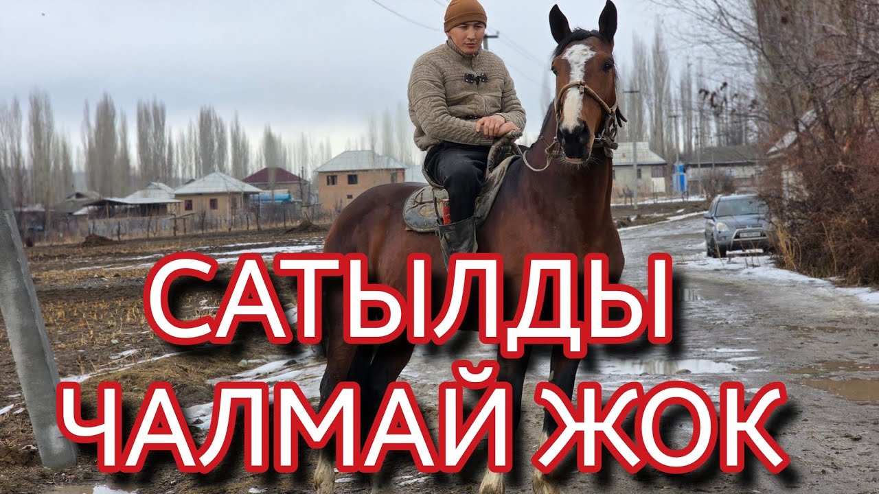 СПАРТАК ЖАНЫБАР ТОБУН КӨРЧҮ👍13 февраля 2026 г.