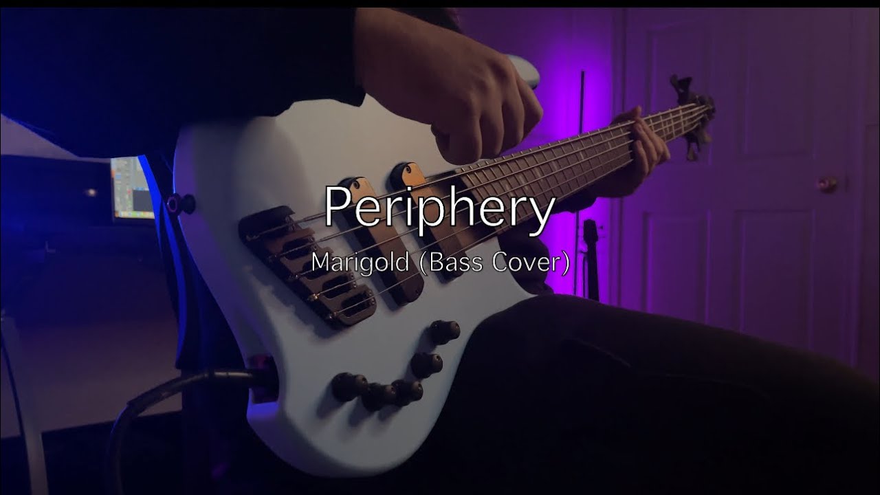 Marigold by Periphery (Bass Cover) Dingwall ABZ