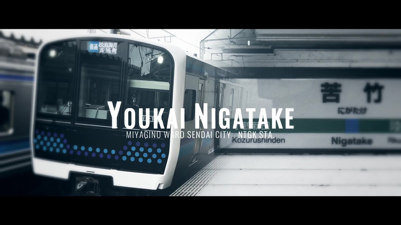 YOUKAI NIGATAKE