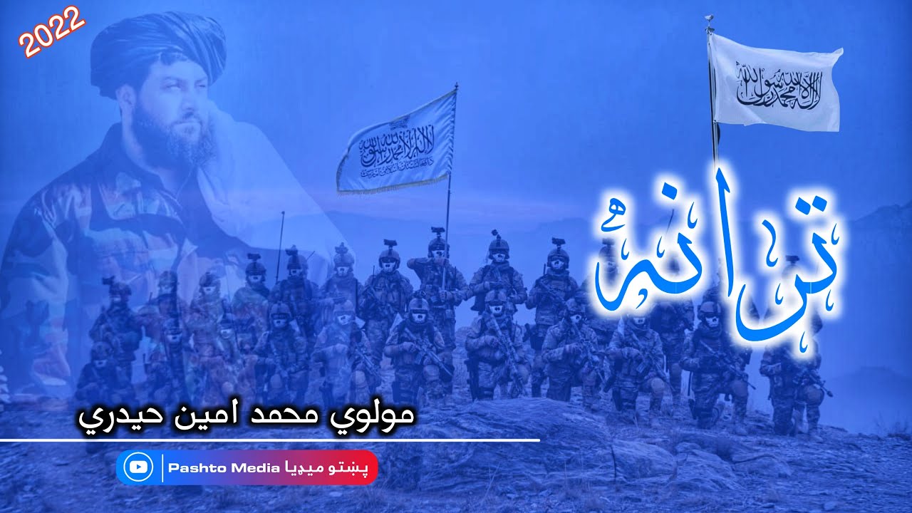 ريښتینی عشق ریښتیني مینه وړي تر داره زلمي || محمد امین شایسته ترانه || محمد امین حیدري تراني