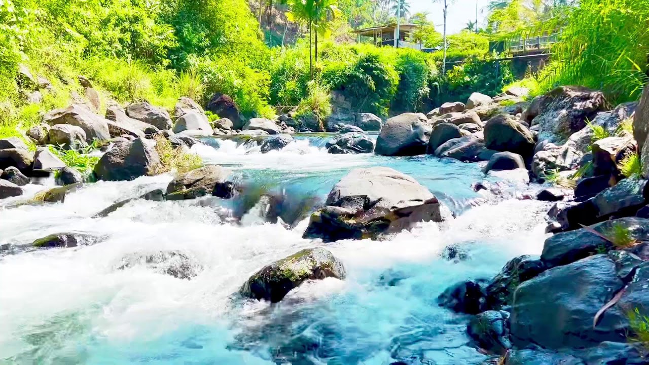 Soothing River Flow Sounds, Focus, Sleep