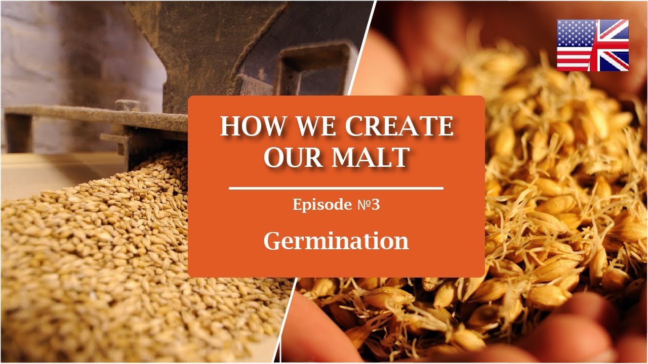 Stage 3: Germination | How we make our Malts? | Castle Malting